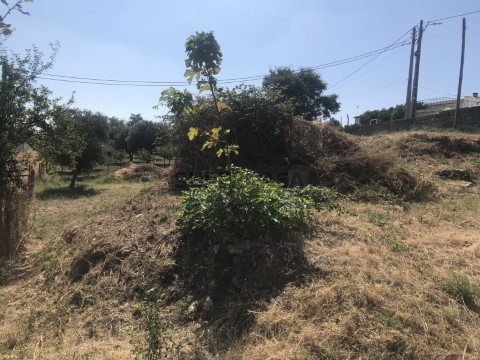 Terreno em Carregueiros, Tomar