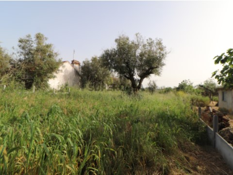 Terreno Urbano em São João Baptista e Santa Maria dos Olivais, Tomar