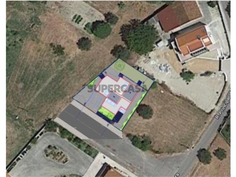 Lote