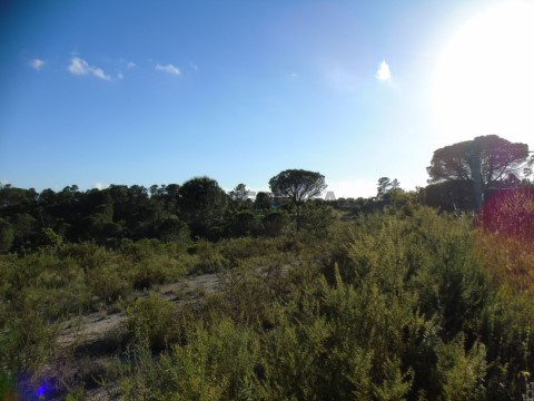 Terreno em Carregueiros, Tomar