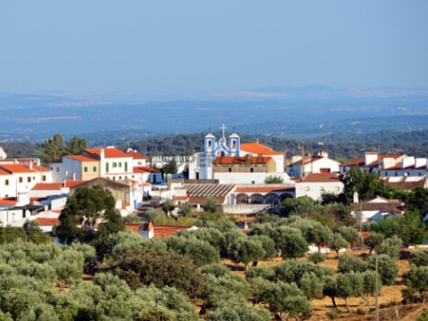 Pardais
