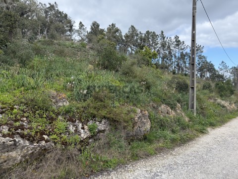 Terreno - Chamboeira