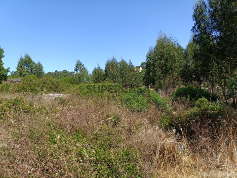 Terreno Agrícola