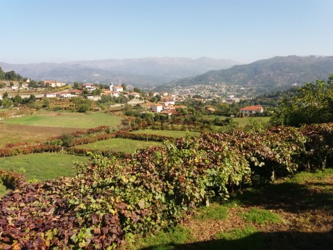 Vistas
