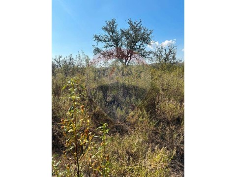 Terreno em Martim Longo, Alcoutim