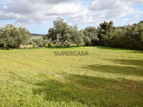 Terreno Rustico Santa Barba Nexe (2)