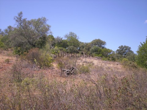 TERRENO RÚSTICO PARA VENDA, LOULÉ, ALGARVE