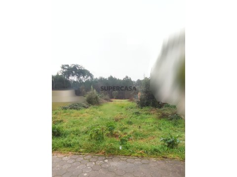 Terreno Rua Sudas Virgínia Marques 23.500€