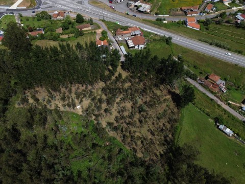 Terreno