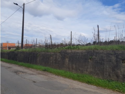 Terreno 4