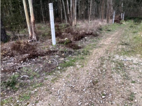 Entrada para terreno