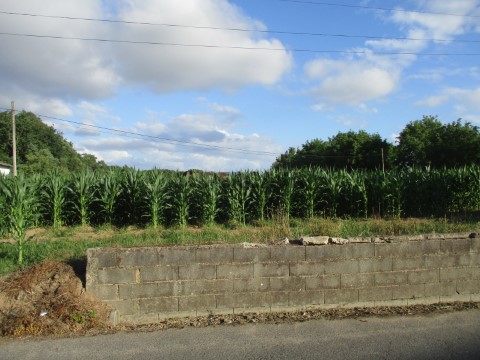 Terreno