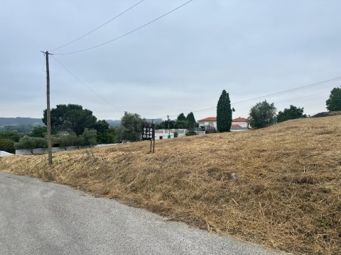 Terreno