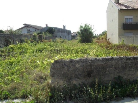 Terreno em Bustos, Troviscal e Mamarrosa, Oliveira do Bairro