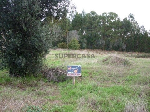 Terreno em Oliveira do Bairro, Oliveira do Bairro