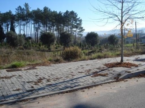 Lote em Valongo do Vouga, Águeda