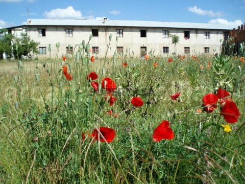 Terreno em Tamengos, Aguim e Óis do Bairro, Anadia