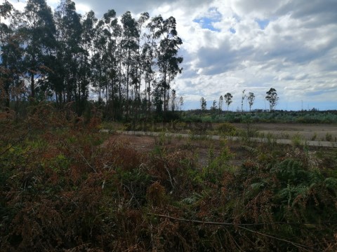 Terreno Industrial
