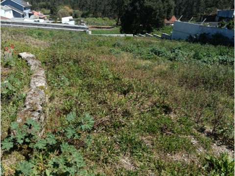 Vista terreno