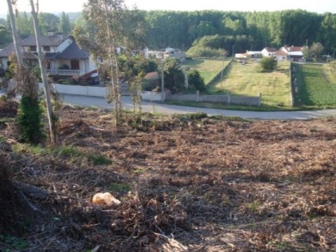 Terreno em Aguada de Cima, Águeda