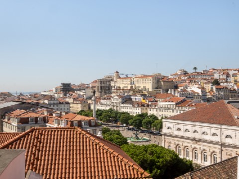 Vistas