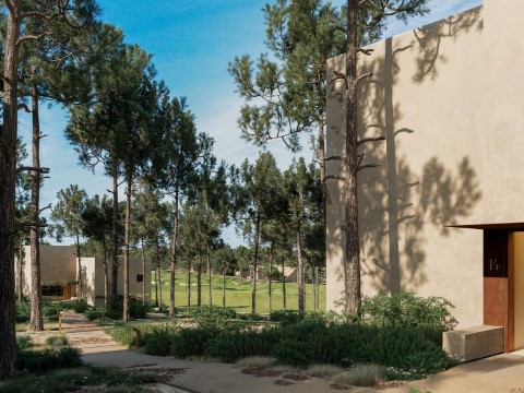 Jardim