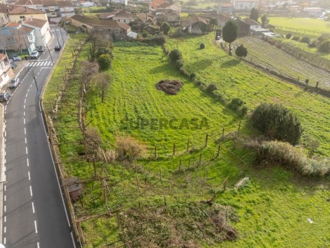 Terreno