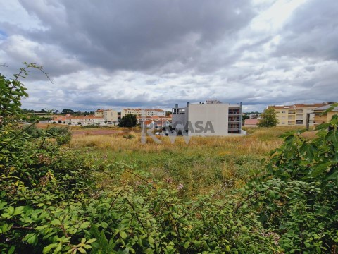 Terreno em Cartaxo e Vale da Pinta, Cartaxo