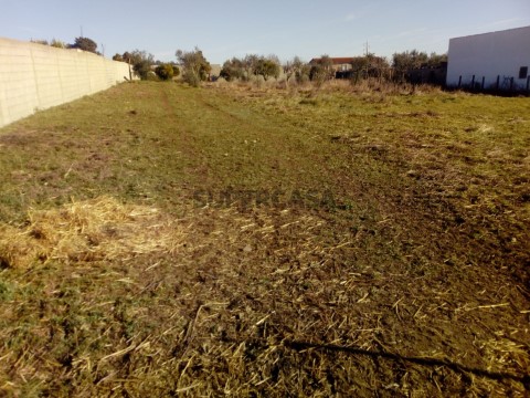 Terreno