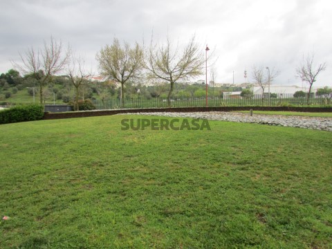 Lote