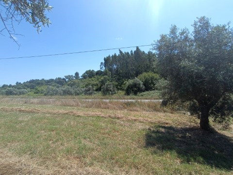 Terreno