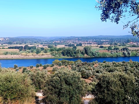 Terreno