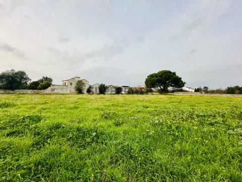 Terreno