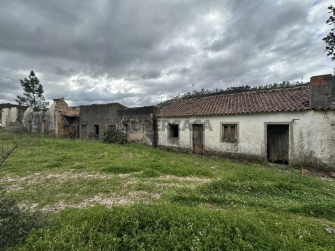 Quinta