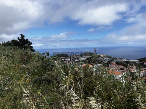 Lotes de terreno no Pico das Romeiras