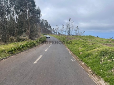 Terreno Rústico com 36.312 m2 no Campanário, Ribeira Brava