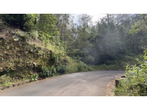 Terreno rústico no Caminho dos Pretos | Funchal