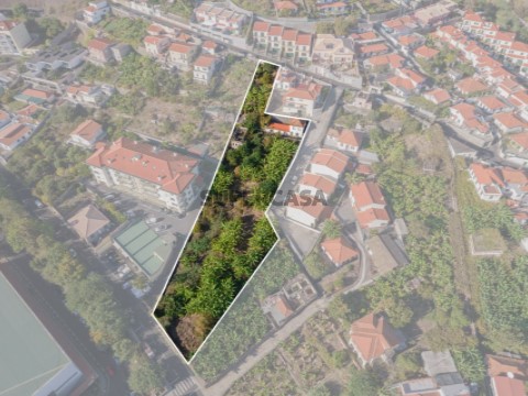 Terreno com 2890m2 - São Roque, FunchalTerreno com 2890m2 - São Roque, Funchal