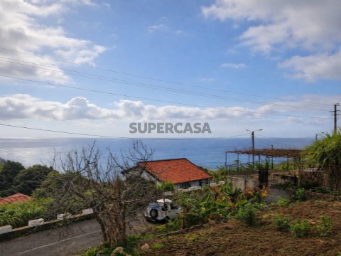 Terreno Rústico no Sítio da Pedra Mole, Ribeira Brava (Madeira)