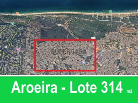 aroeira 314