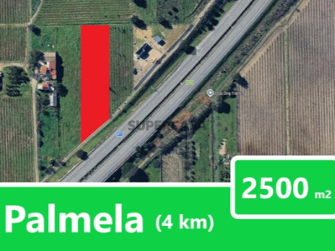 Palmela