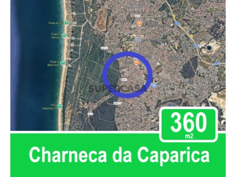 CC 360