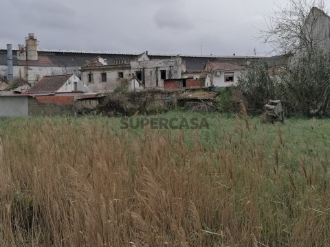 Terreno