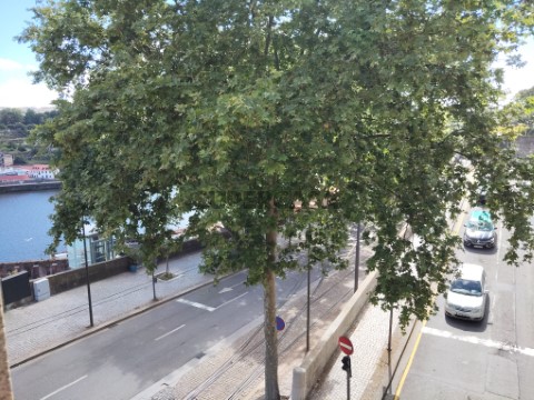 Vista exterior