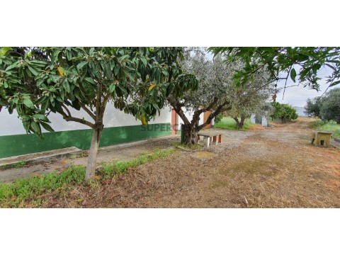 Quinta com 25.000m2 Reguengos de Monsaraz