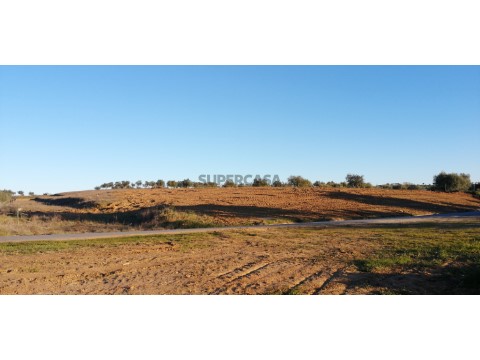 Terreno com 10000 m2 próximo da Vila de Redondo