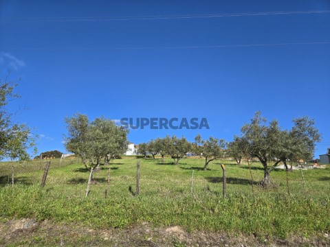 20250327_160932