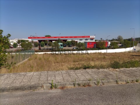 Lote Moradia - Mação