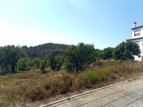 Lote Moradia - Mação