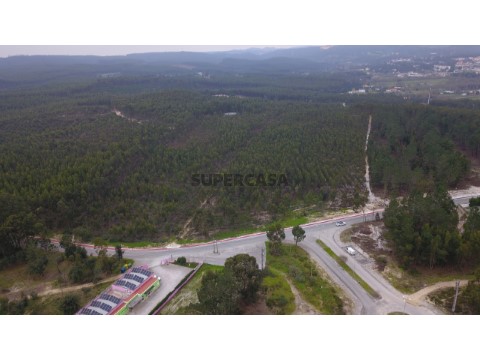 Terreno com Viabilidade de Construção